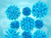 Trials Set to Evaluate AbbVie's Experimental HCV Regimen