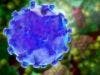 FDA Approves Genotype 4 Hepatitis C Treatment