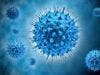 HIV Replication Unlikely to Occur in Liver Cells After Long-Term Antiretroviral Therapy