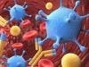 Understanding How HIV Infects Macrophages Could Lead to a Cure