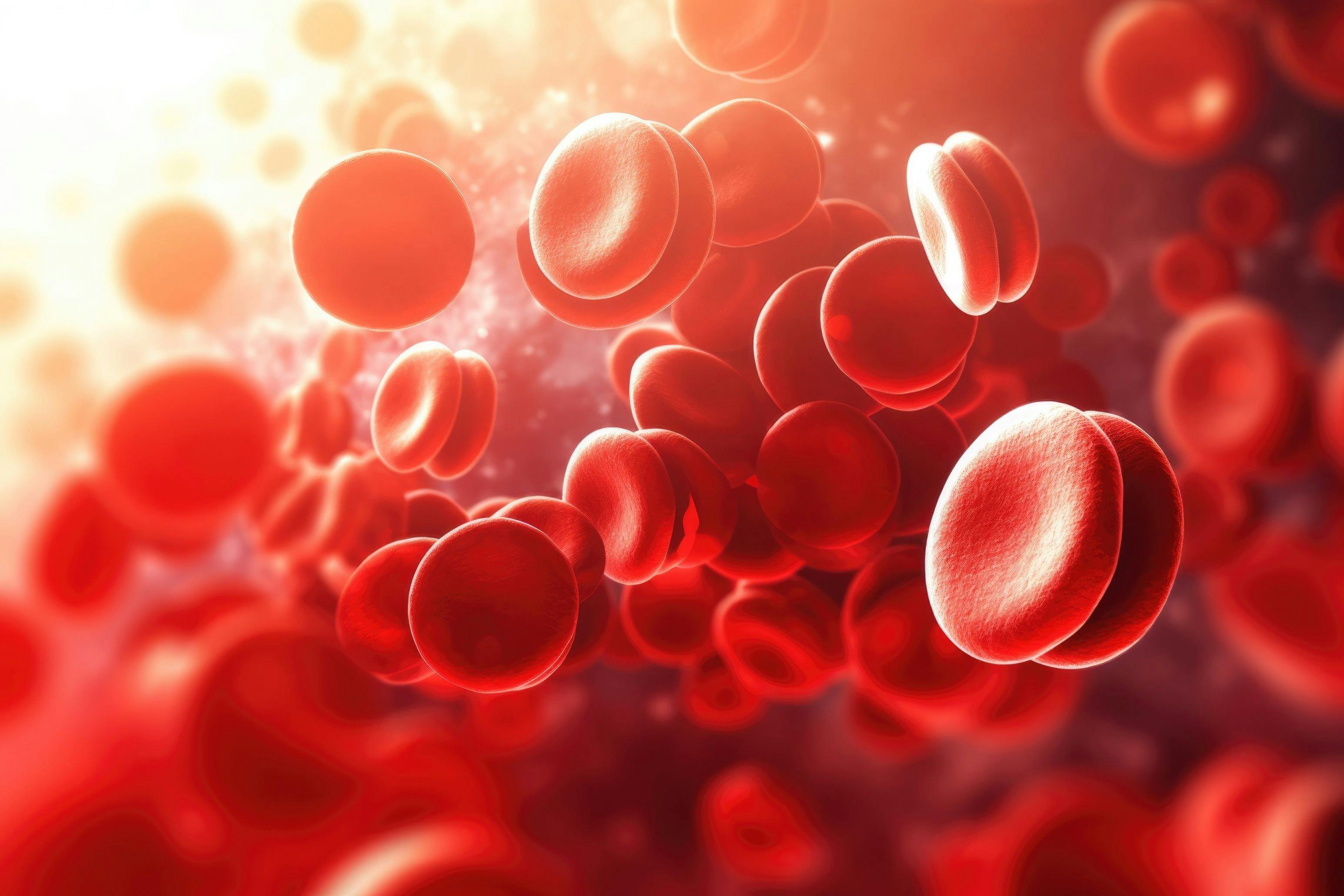 multiple myeloma blood cells/Image Credits: © Marharyta - stock.adobe.com