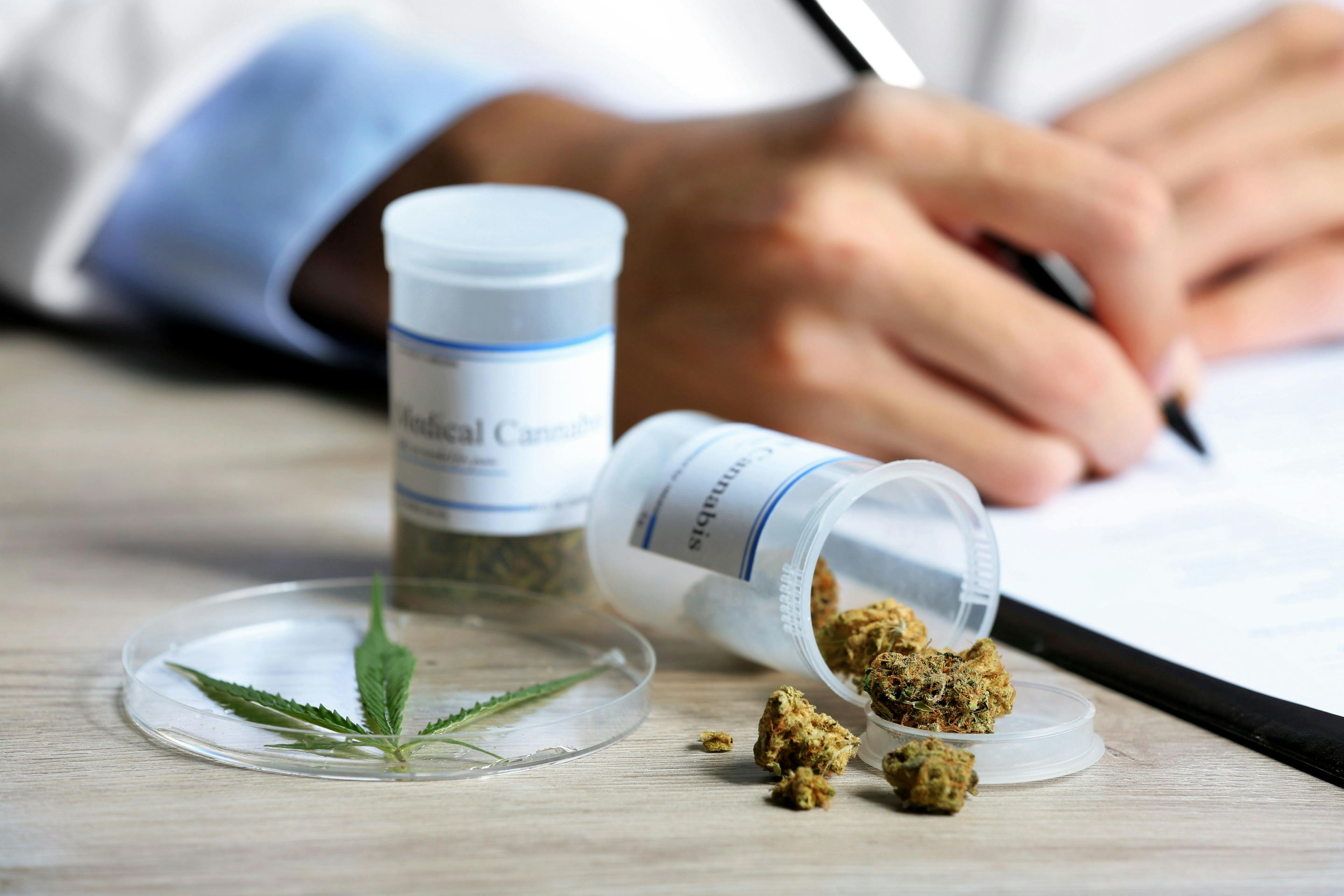 Provider prescribing medical cannabis -- Image credit: Africa Studio | stock.adobe.com