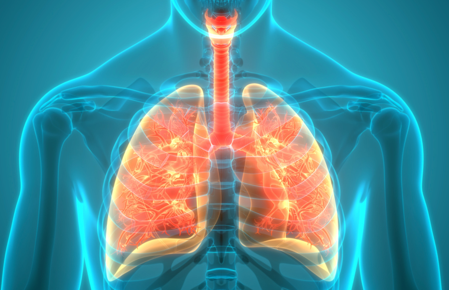 FDA Grants Breakthrough Therapy Designation to Idiopathic Pulmonary Fibrosis Treatment