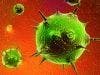 Experimental Therapy Suppresses HIV Infection