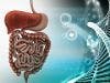 Personalized Bowel Cancer Therapy on the Horizon
