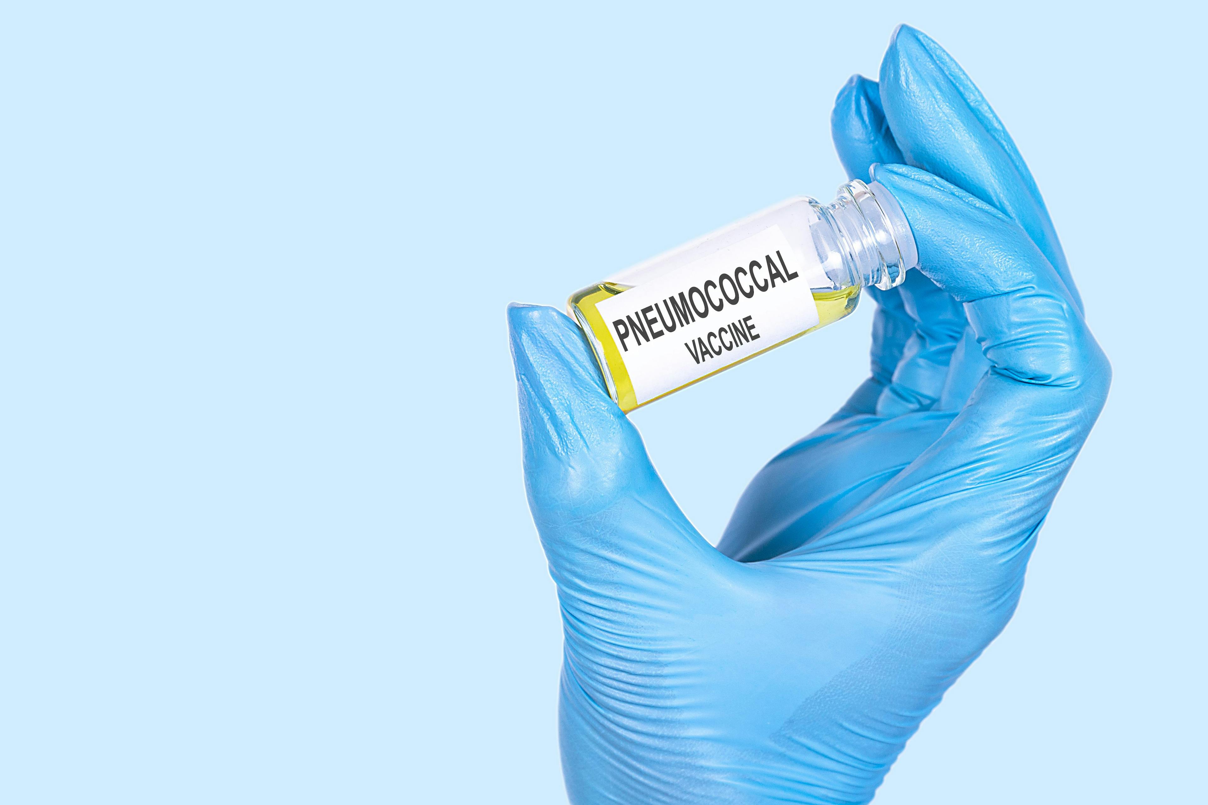 PNEUMOCOCCAL VACCINE text is written on a vial whose ampoule is held by a hand in a medical disposable glove. | Image Credit: Iryna - stock.adobe.com