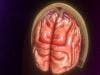 Trending News Today: Novel Electric Brain Stimulation Could Improve Treatment of Neurologic Disorders