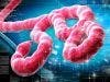 Nearly One-Third of Sierra Leone Quarantined to Control Ebola