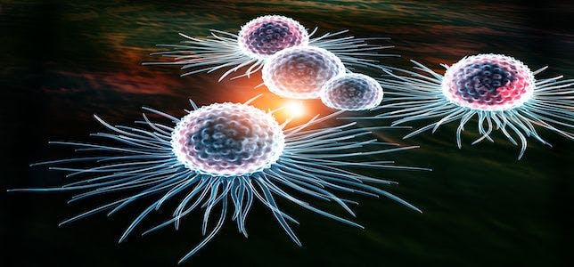 Potential Nano Drug Attacks Aggressive Breast Cancer Cells