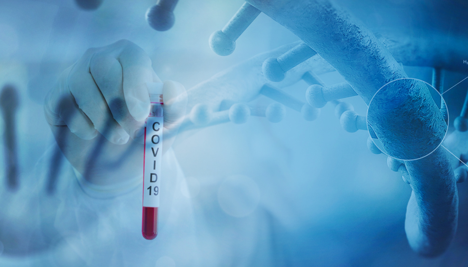 Researchers Accelerate Development of COVID-19 Diagnostic Test