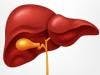 Research Examines Cost Effective Method to Grow New Liver Cells from Stem Cells