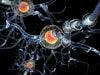 Antifungal Drugs and Steroids May Be Able to Reverse Multiple Sclerosis