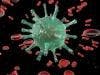 HIV-Neutralizing Antibodies from Infants May Accelerate Vaccine for Adults