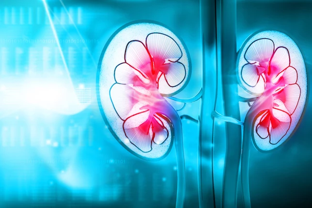 Submaximal Dosing Plays Important Role in Minimizing Proteinuria
