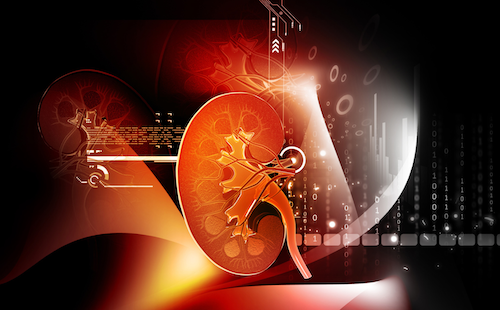 HIV, Chronic Kidney Disease Comorbidity Increases Risk of Serious Clinical Events