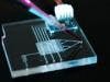 Microfluidic Device Tracks Long-term Evolution of Cancer Cells to Gain Insight into Metastasis