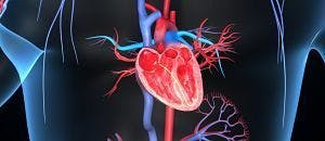 Cardiovascular Disease: Getting to the Heart of the Matter