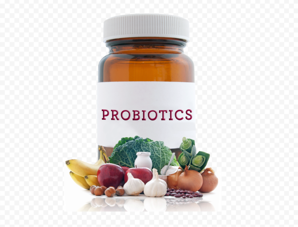 Probiotics Associated with Fewer Respiratory Symptoms in Overweight, Older People