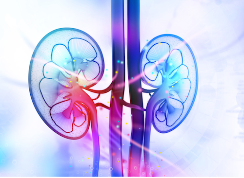 Study Identifies Potential New Kidney Cancer Subtypes