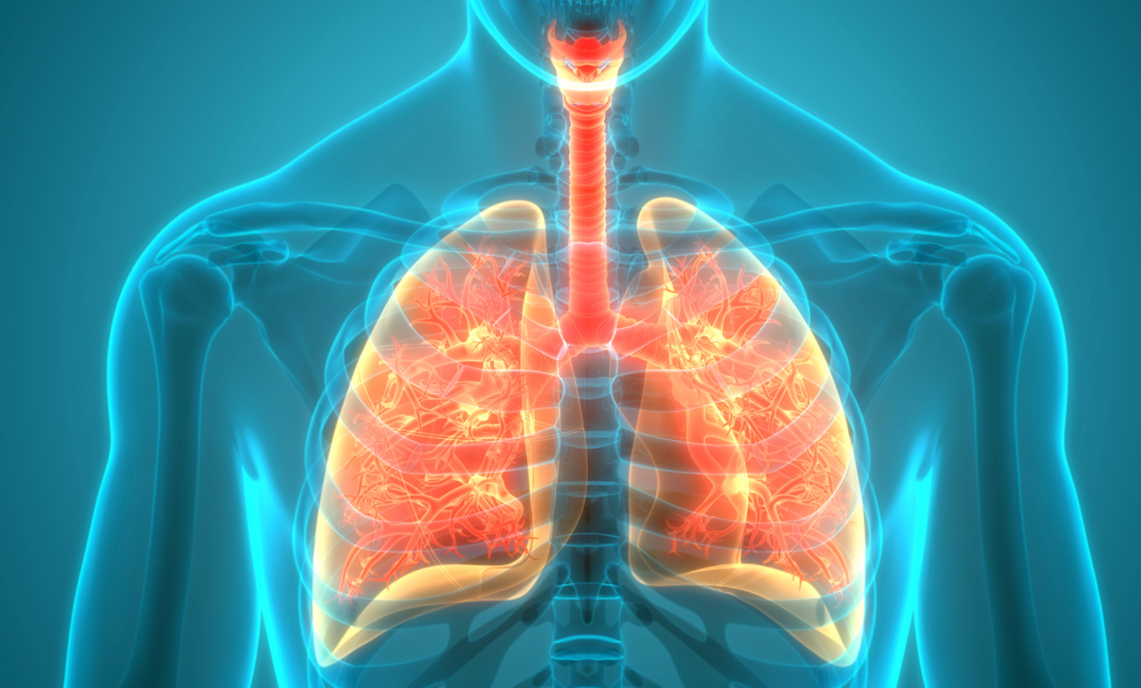 Subcutaneous Immunotherapy-Induced Antibodies May be Effective Treating Allergic Asthma