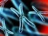Telomeres Linked to Cancer Growth and Aging
