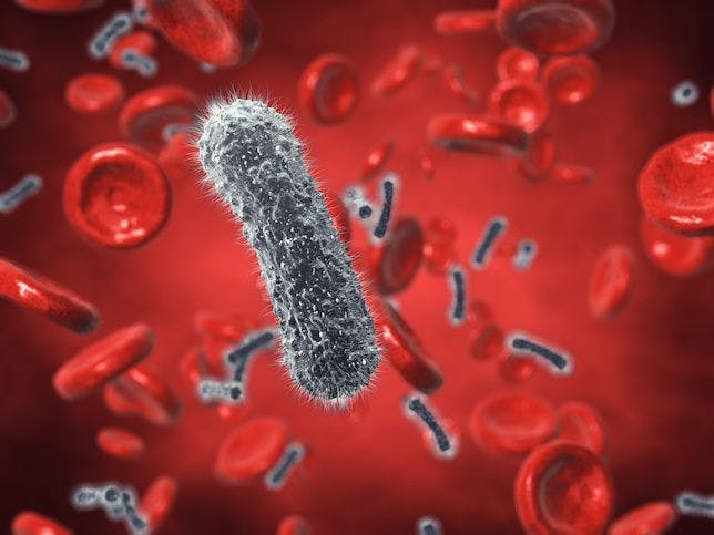 Many Platforms Offer Rapid Detection in Bloodstream Infections