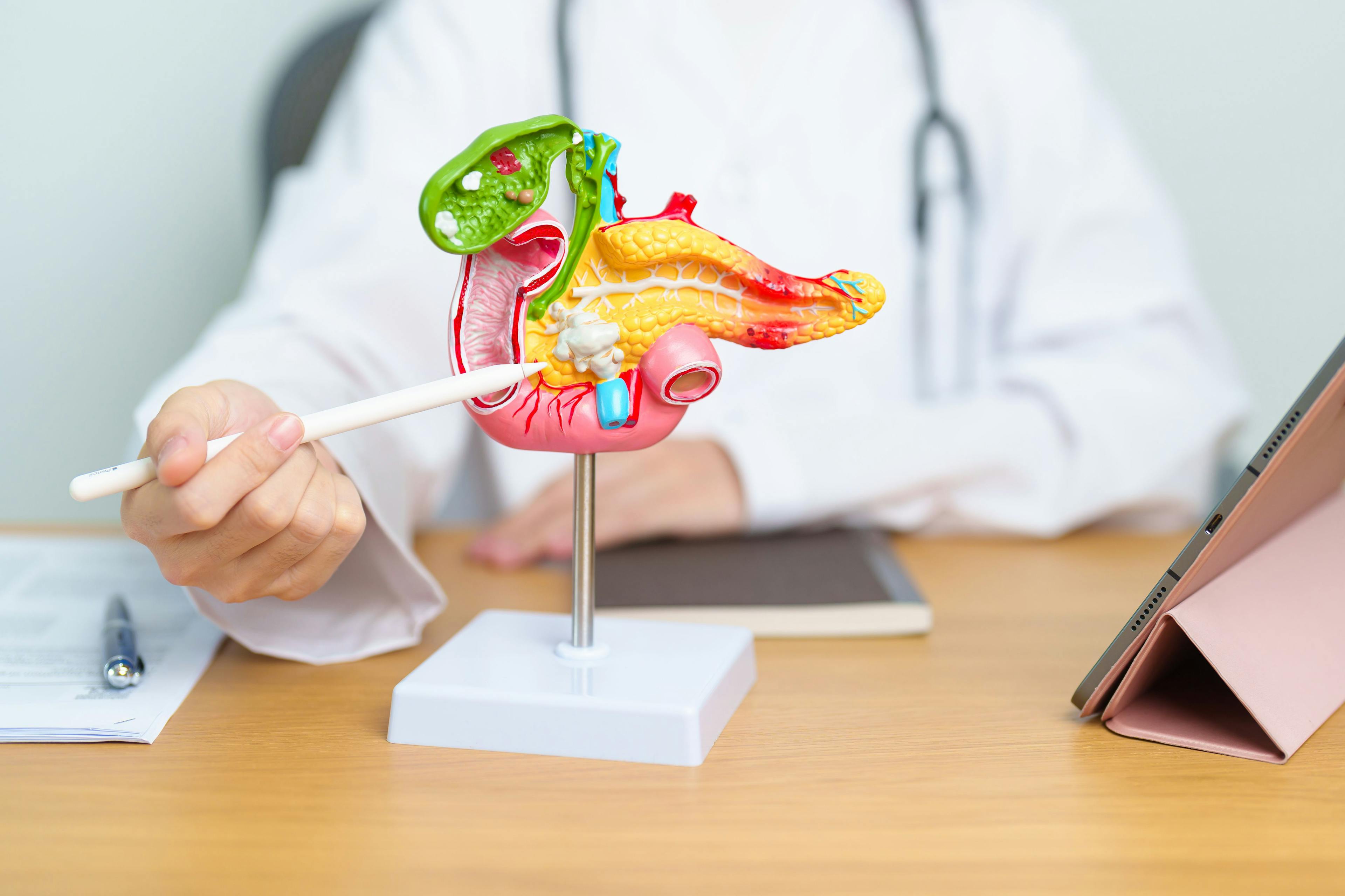 Health care worker with model of pancreas -- Image credit: Jo Panuwat D | stock.adobe.com