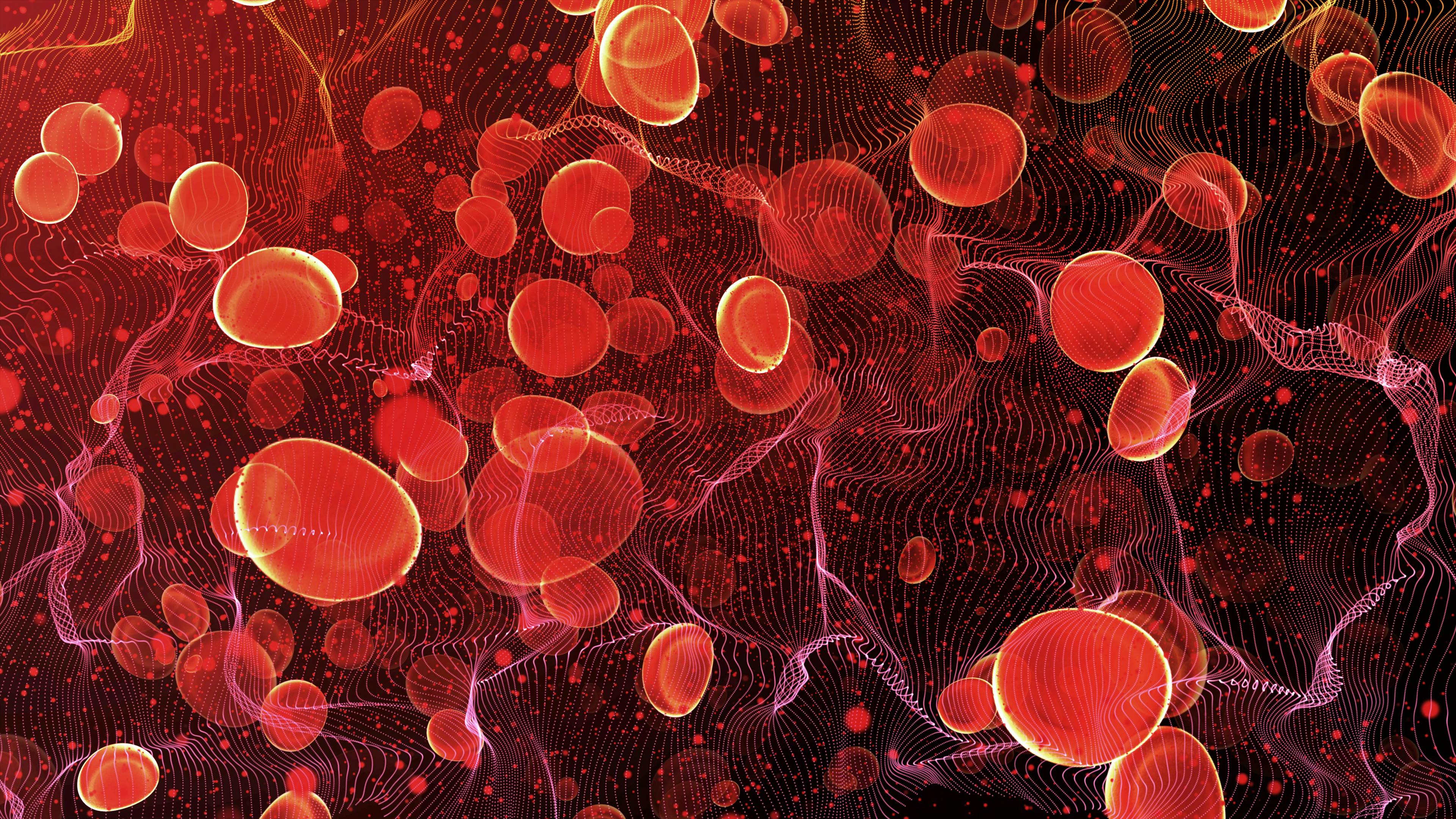 Red blood cells travel in an artery. Human body biotechnology science and health care concept. | Image Credit: DIgilife - stock.adobe.com