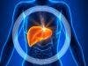 Study Identifies Potential Targets to Inhibit Liver Disease Progression