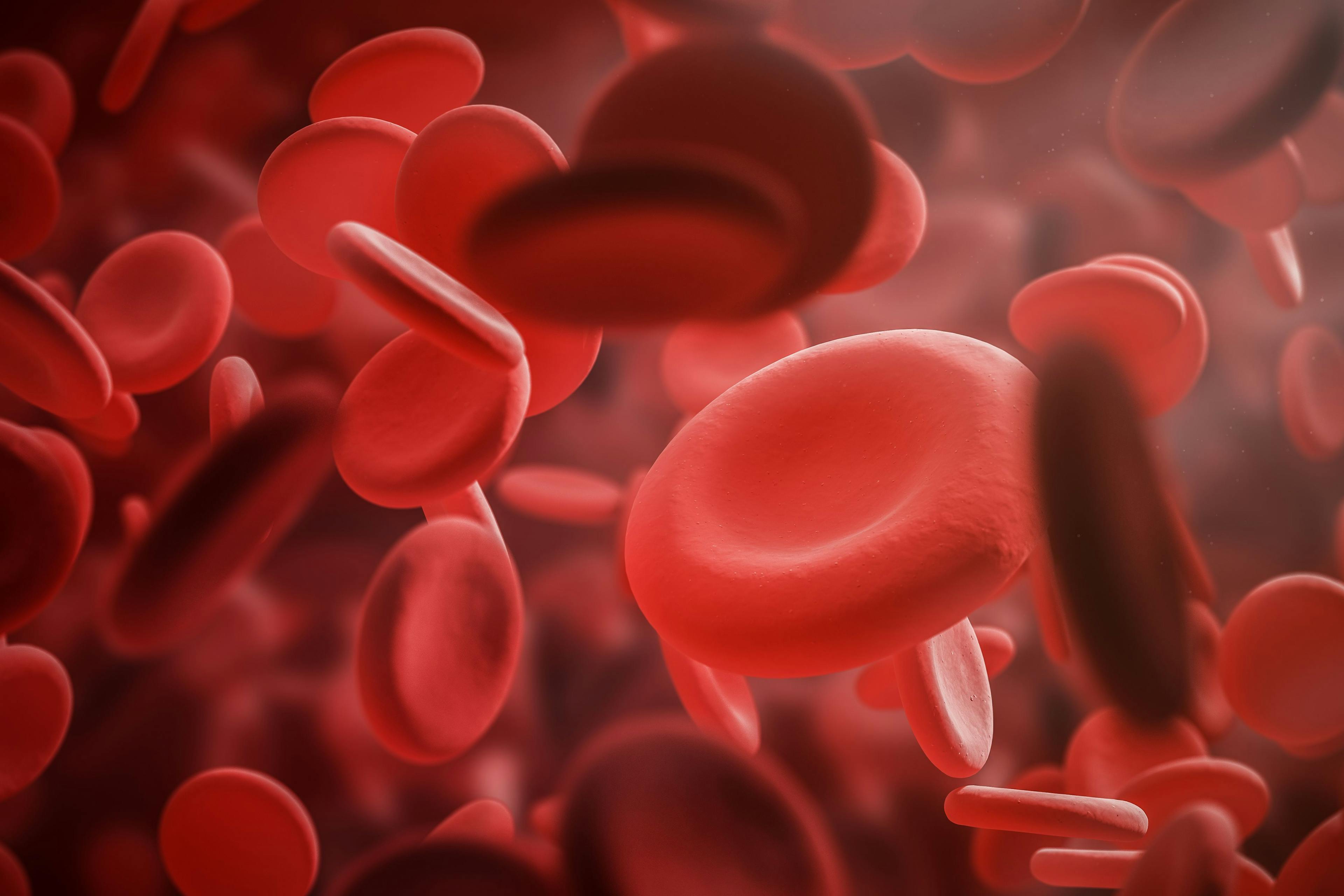 Red eritrosit blood count medical concept | Image Credit: ImageFlow - stock.adobe.com