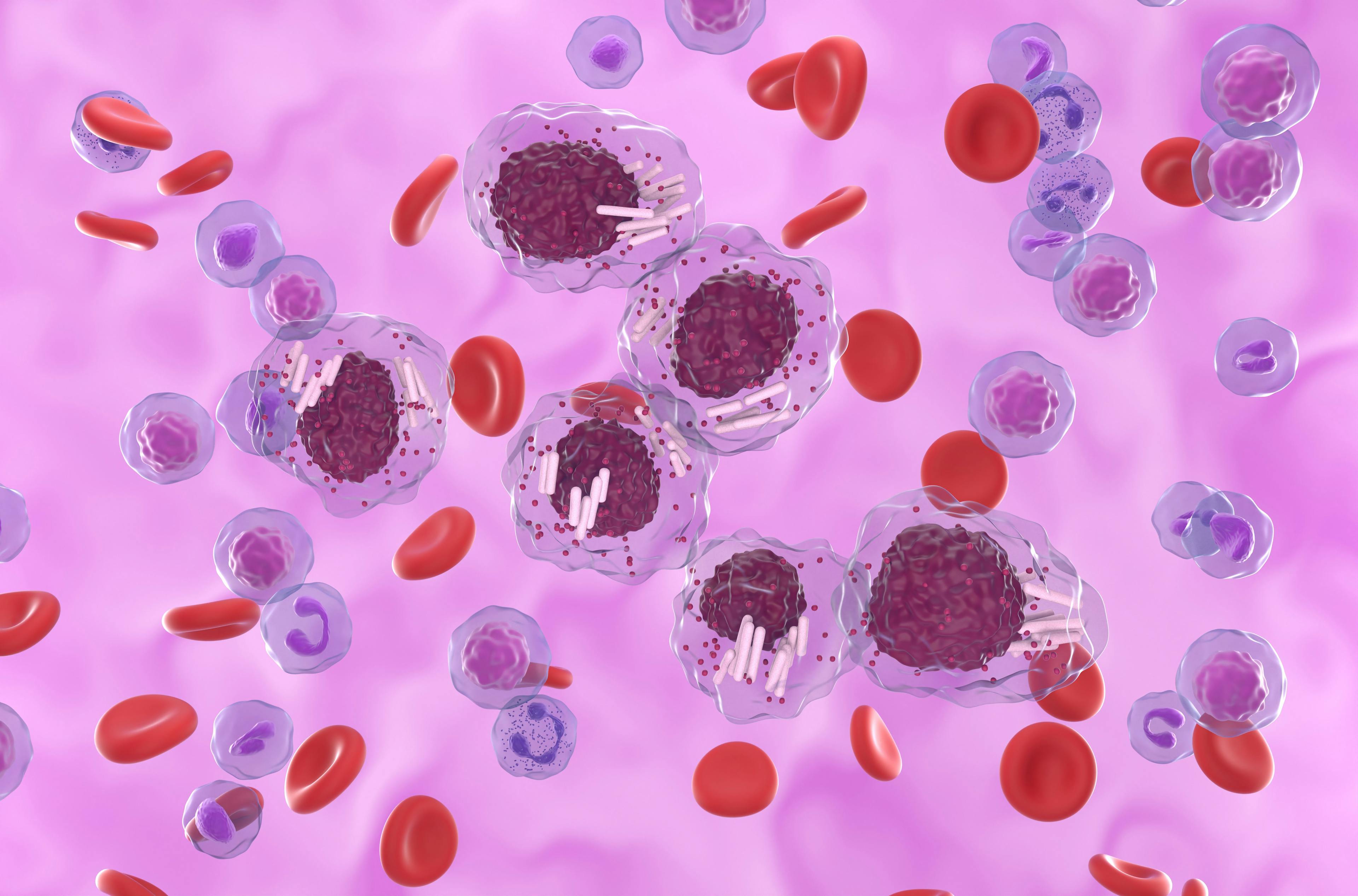Chronic lymphocytic leukemia (CLL) cells cluster in blood flow -- Image credit: LASZLO | stock.adobe.com