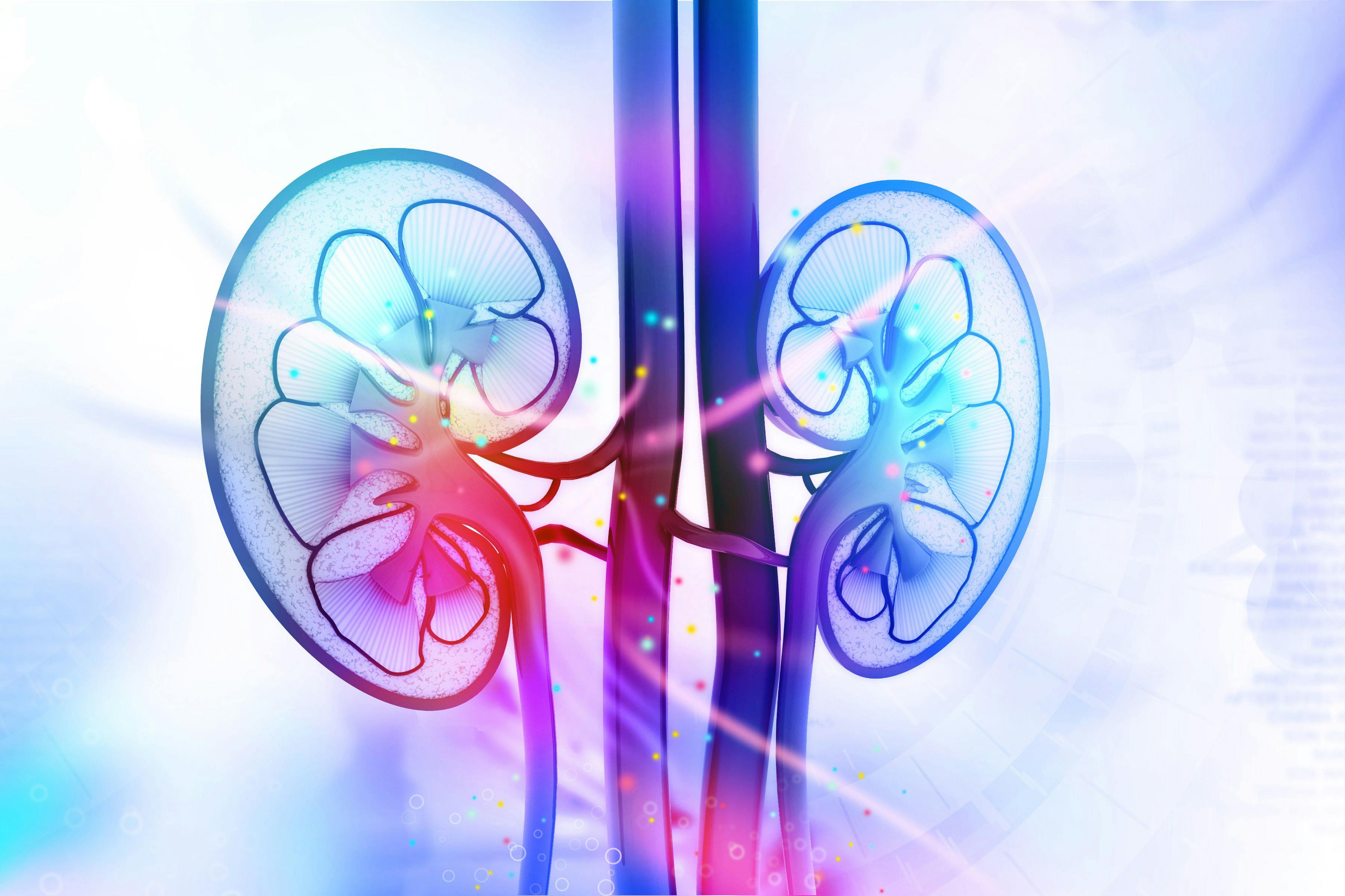 Study Finds Enzymatic Pathway Potential Treatment Target for Blood Clots in Patients With Chronic Kidney Disease