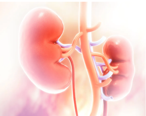 Second-Generation Combination Treatment Shows Long-Term Efficacy Against Advanced Kidney Cancer
