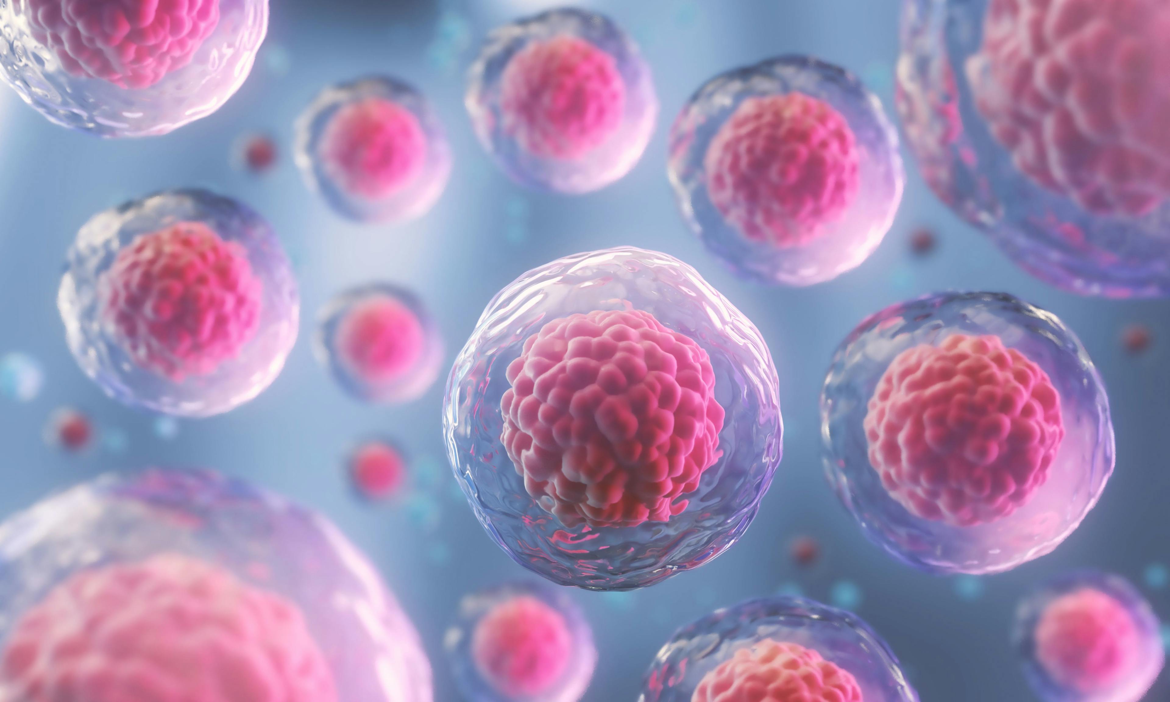 Cancer cells | Image credit: Anusorn - stock.adobe.com 