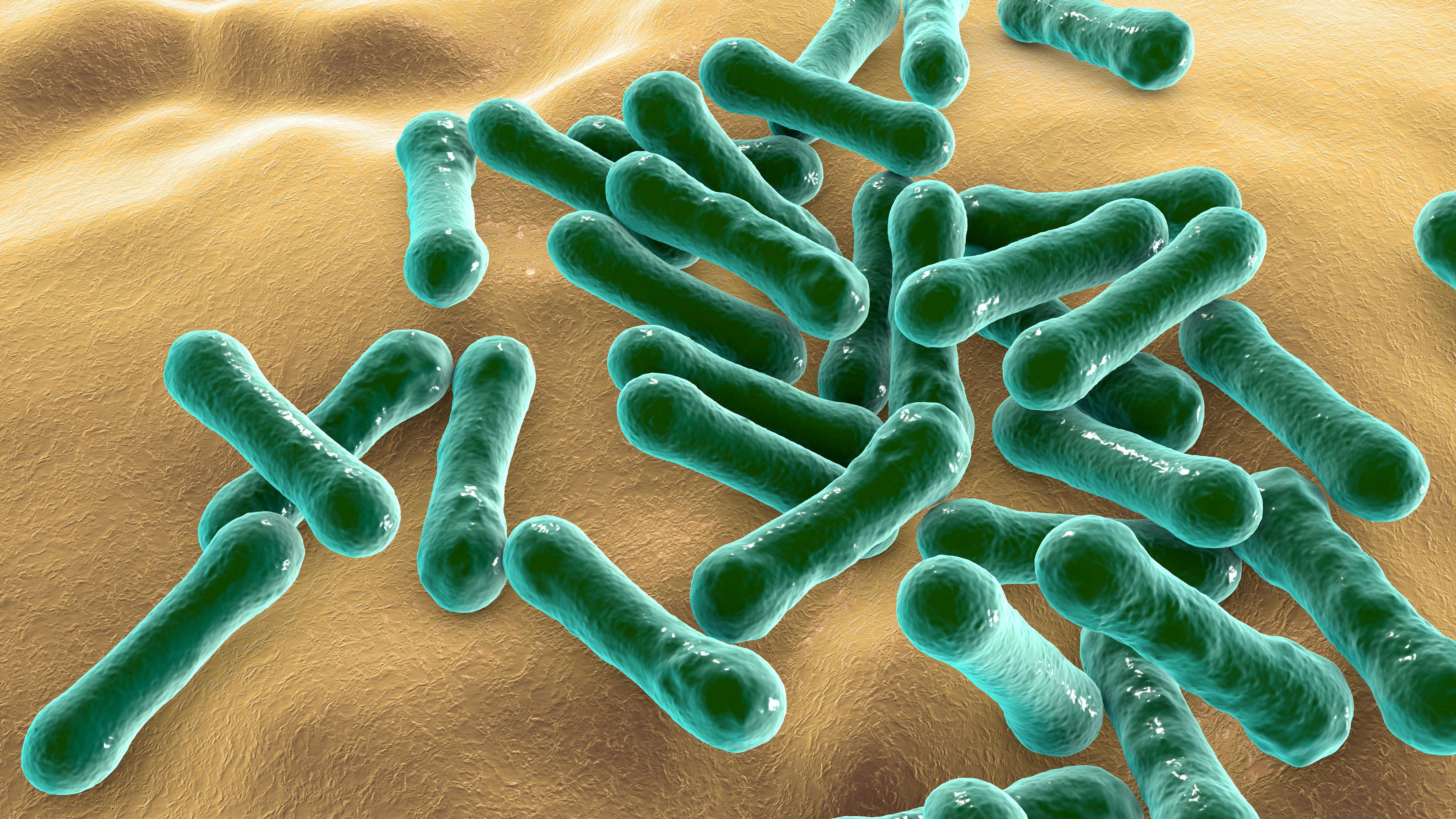 New Findings on C Difficile Physiology ‘Flips the Field of Microbiology on its Head,’ According to Investigator