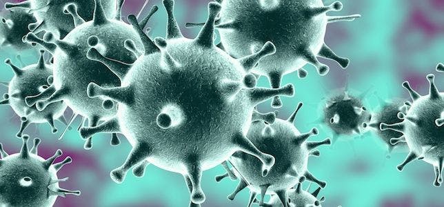 Coronavirus Task Force Urges Limit of 10 People for Gatherings
