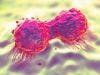 Study Explores Immune Evasion Mechanisms in Breast Cancer
