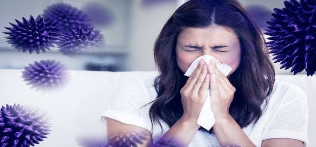 Common Cold May Jumpstart Immune System, Reducing Flu Cases