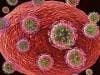 Scripps Research Institute Receives $6 Million for HIV/AIDS Vaccine Research