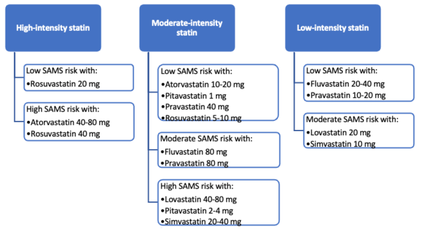 Figure 2:4 SAMS risk across statin intensity groups according to statin and dose in SLCO1B1 poor function