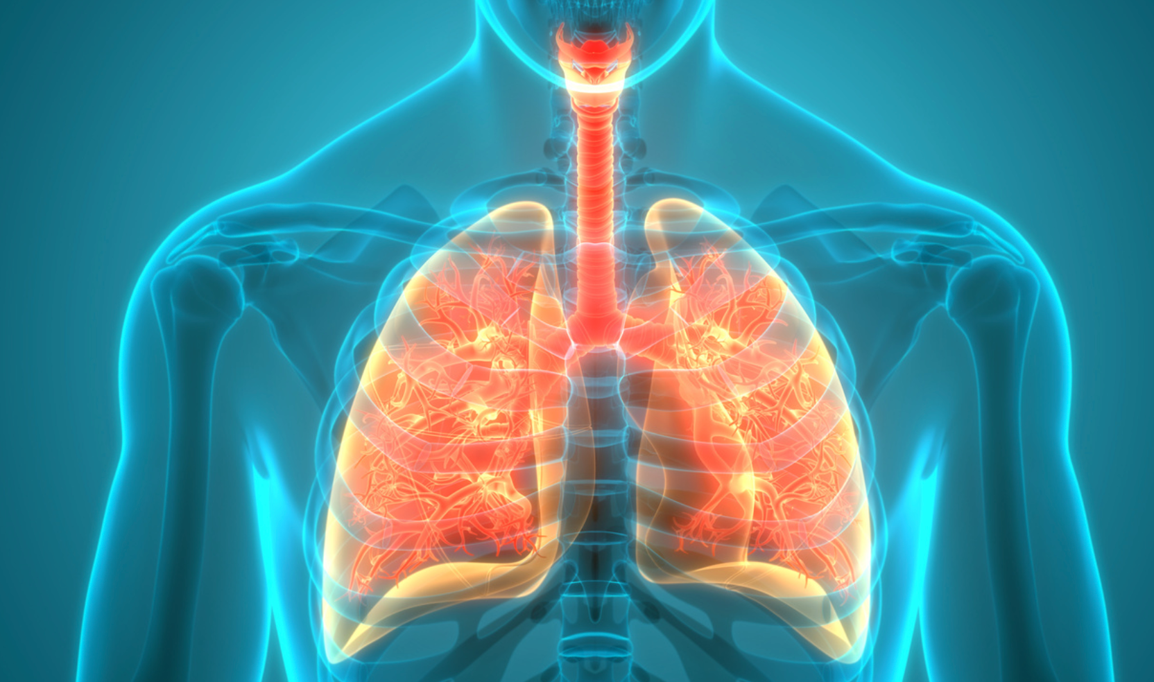 Novel Drug Treats Allergic Asthma Without Inhibiting Flu Defenses