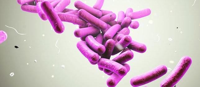 Study: Probiotic in Yogurt May Protect Against Antibiotic-Associated Diarrhea