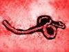 Ebola Continues to Spread Among Health Care Workers 