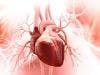 Rheumatoid Arthritis Protein Linked to Heart Valve Disease