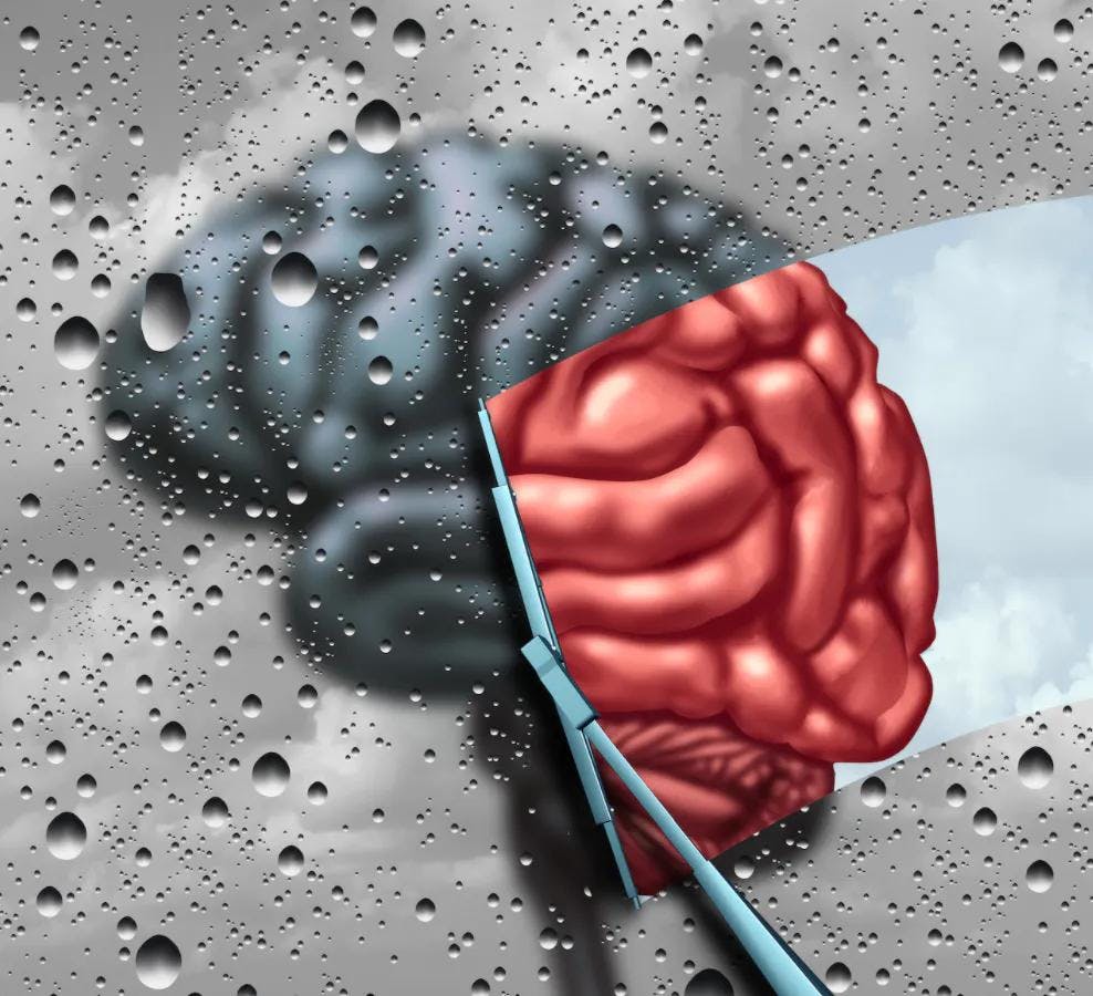 Worse Brain MRI, Neurodevelopmental Outcomes Show No Link to dDNV Genes