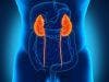 PADT Appears to Offer No Mortality Benefit to Prostate Cancer Patients