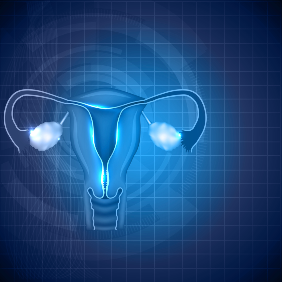 Oncology Overview: Investigational Autologous TIL Immunotherapy LN-145 for Cervical Cancer