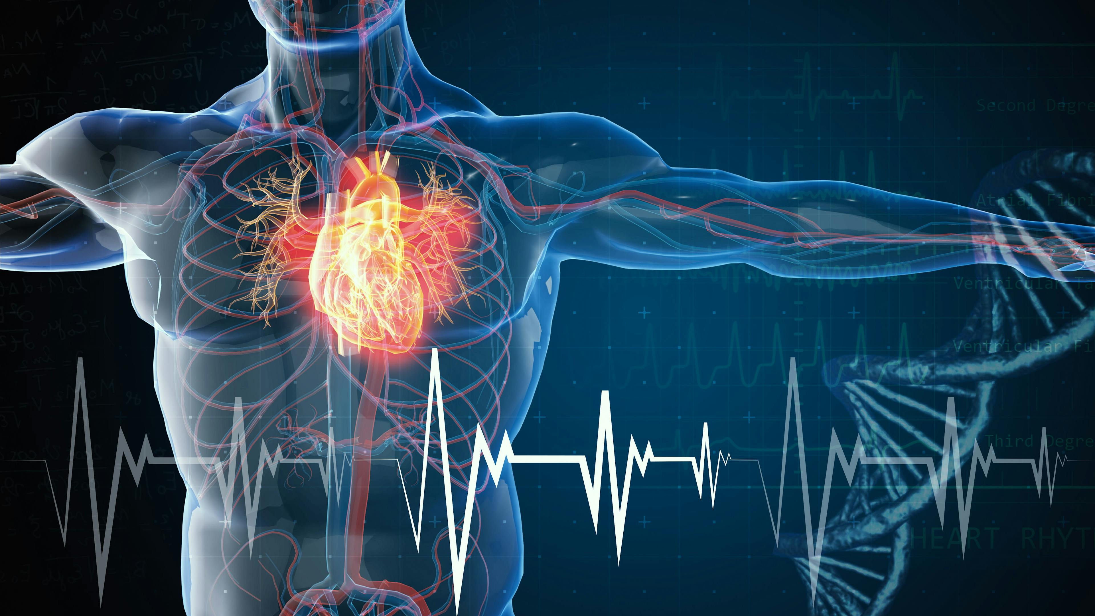 3d rendered illustration of heart attack and heart disease 3D illustration | Image Credit: santoelia - stock.adobe.com