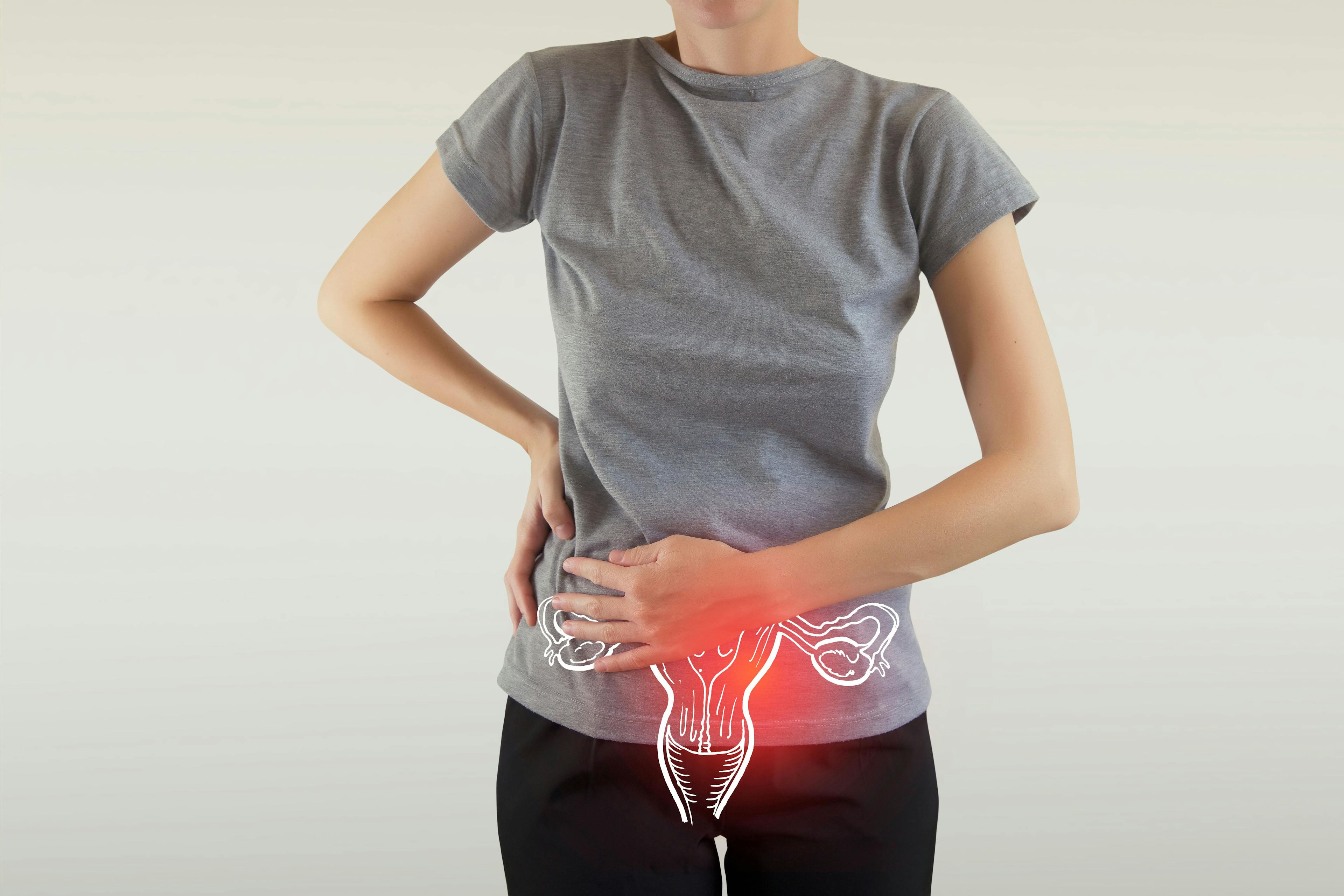 Female Reproductive System Anatomy - Image credit: mi_viri | stock.adobe.com
