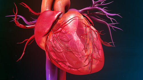 Dapagliflozin Reduces Risk of Mortality, Heart Failure Events Regardless of Type 2 Diabetes Status